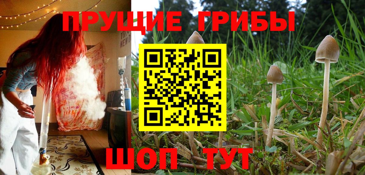 Валуйки  Галлюциногенные грибы мицелий  Вход с VPN 