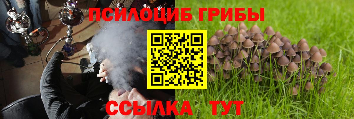 Галлюциногенные грибы ЛСД Валуйки